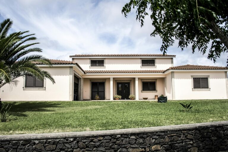 A stylish modern family home with a lush lawn and palm tree under a bright sky.